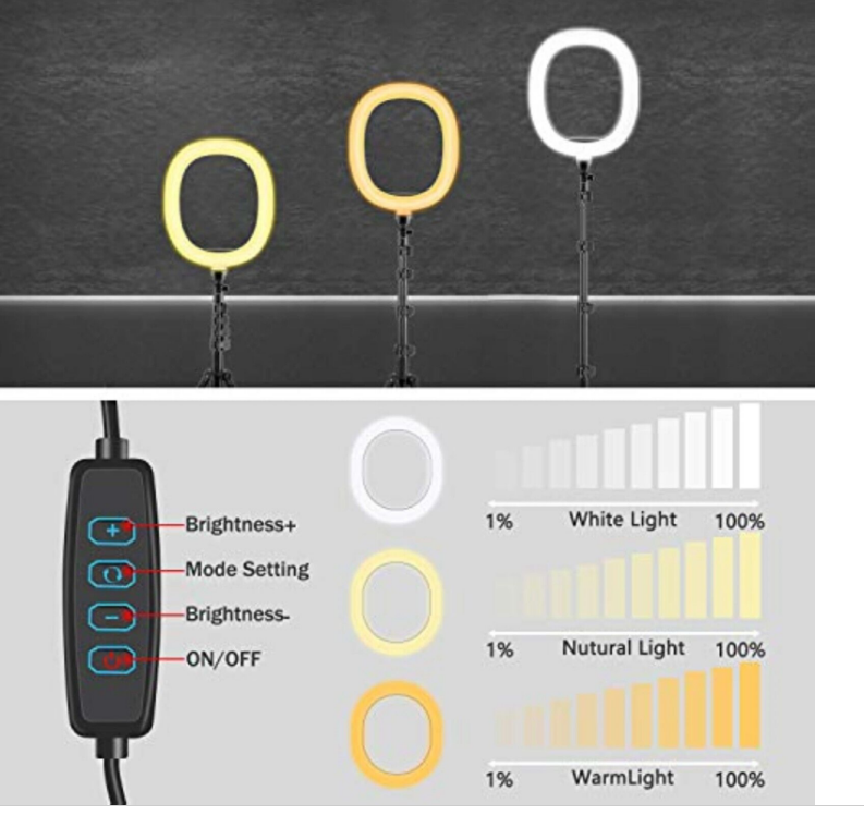 Dodocool 12 Ring Fill Light Ovales Tiktok Ringlicht