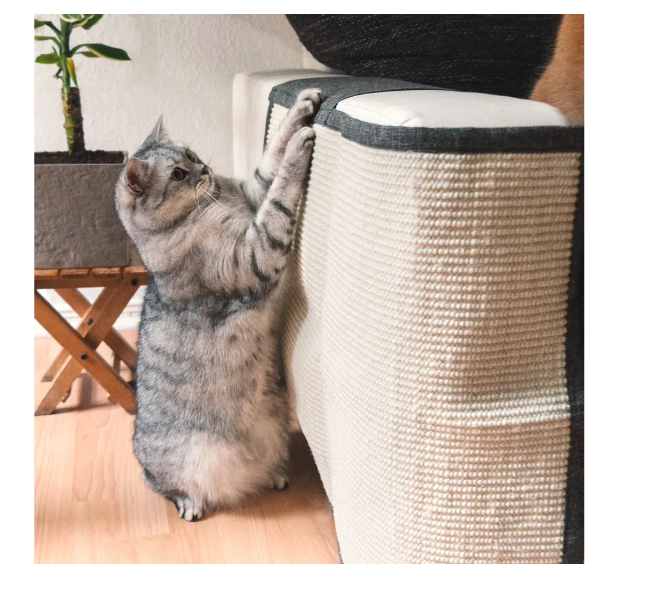 Navaris Katzen Hunde Kratzmatte Kratzschutz Sofa