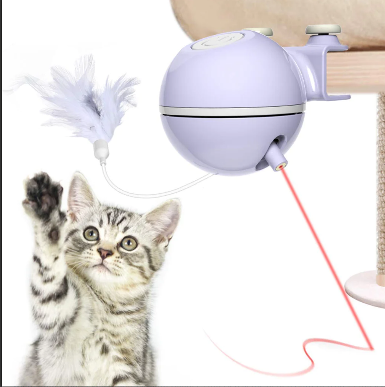 DADYPET Interaktives Katzenspielzeug, 2-in-1
