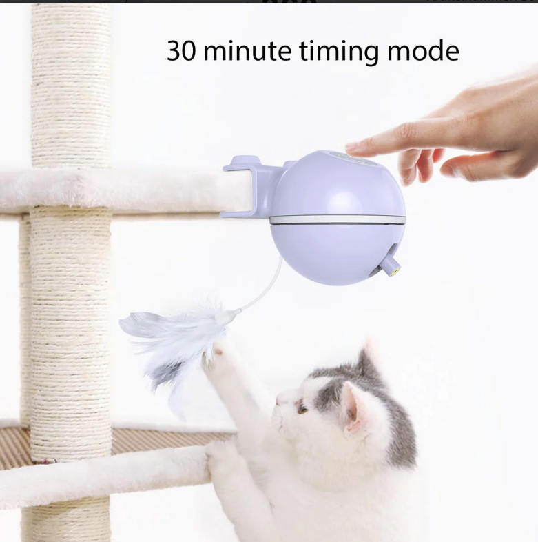 DADYPET Interaktives Katzenspielzeug, 2-in-1