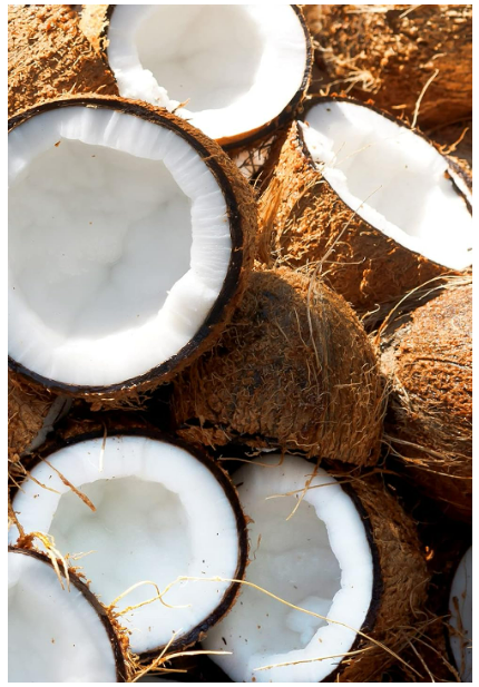 khadi COCONUT SHIKAKAI Ayurvedischer Conditioner
