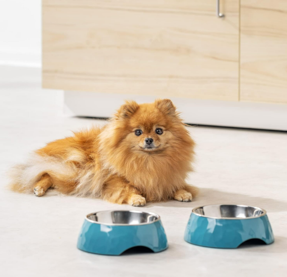 Navaris 2x Edelstahl Futternapf Hund u. Katze